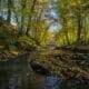 forêt et rivière au Domaine de Blangy